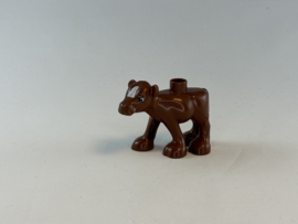 Kalf donker bruin Duplo