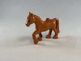 Paard bruin / vos Duplo