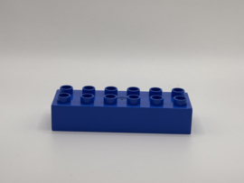 12 nops blok blauw Duplo