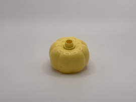 Pompoen helder licht geel Duplo