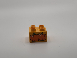 Pompoen op blok helder licht oranje  Duplo
