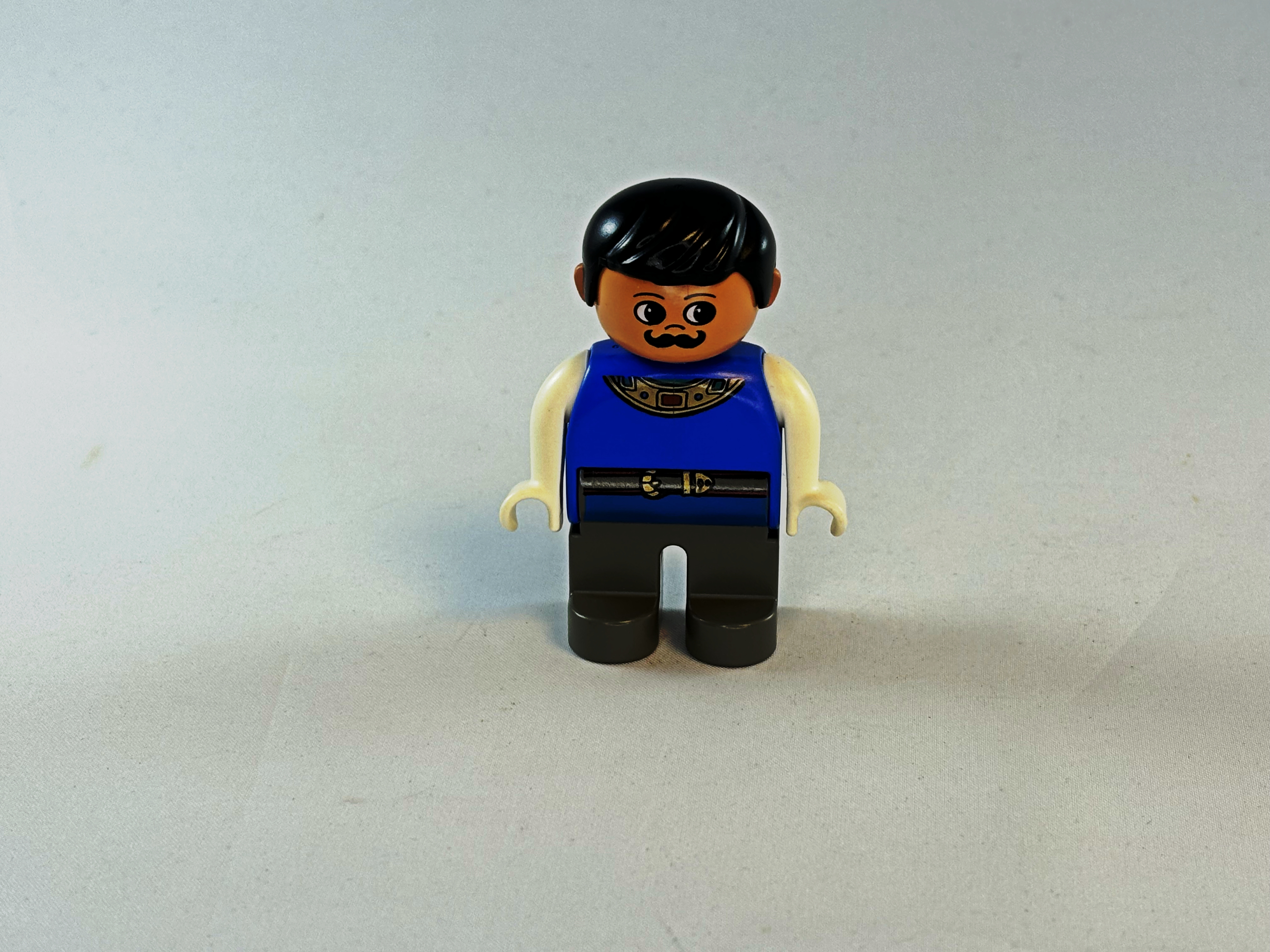 Ridder blauw en wit Duplo