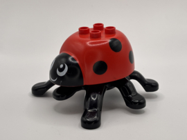 Lieveheersbeestje Duplo