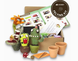 Woolbuddys Cactus Kit