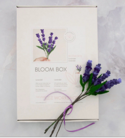 DIY Viltbloemen pakket Lavendel van De Viltbloemist
