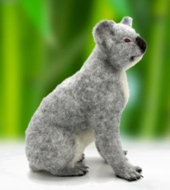 Naaldviltpakket (engelstalig) per pakket Koko de Koala