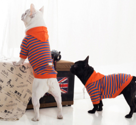 Fashion hoodie voor honden