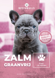 Best4bulls Zalm graanvrij puppy 10kg