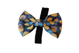 Bow tie  Juicy lemon