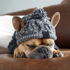 warme wintermuts