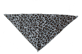 Bandana Leopard