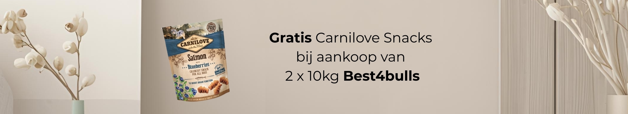 Bannercarnilove