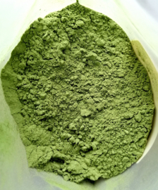 Biologic Wheat grass powder (50 grams)