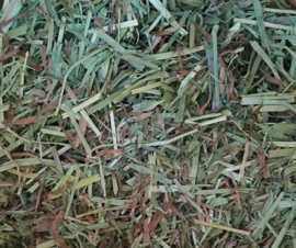 Just grass (vanaf 250 gram)