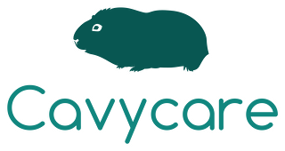 Cavycare