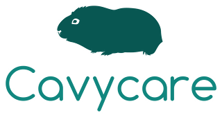 Cavycare