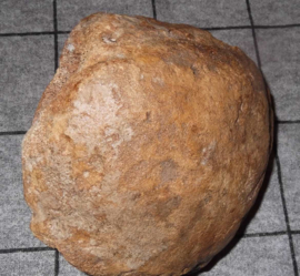 mammoet dijbeen kogel