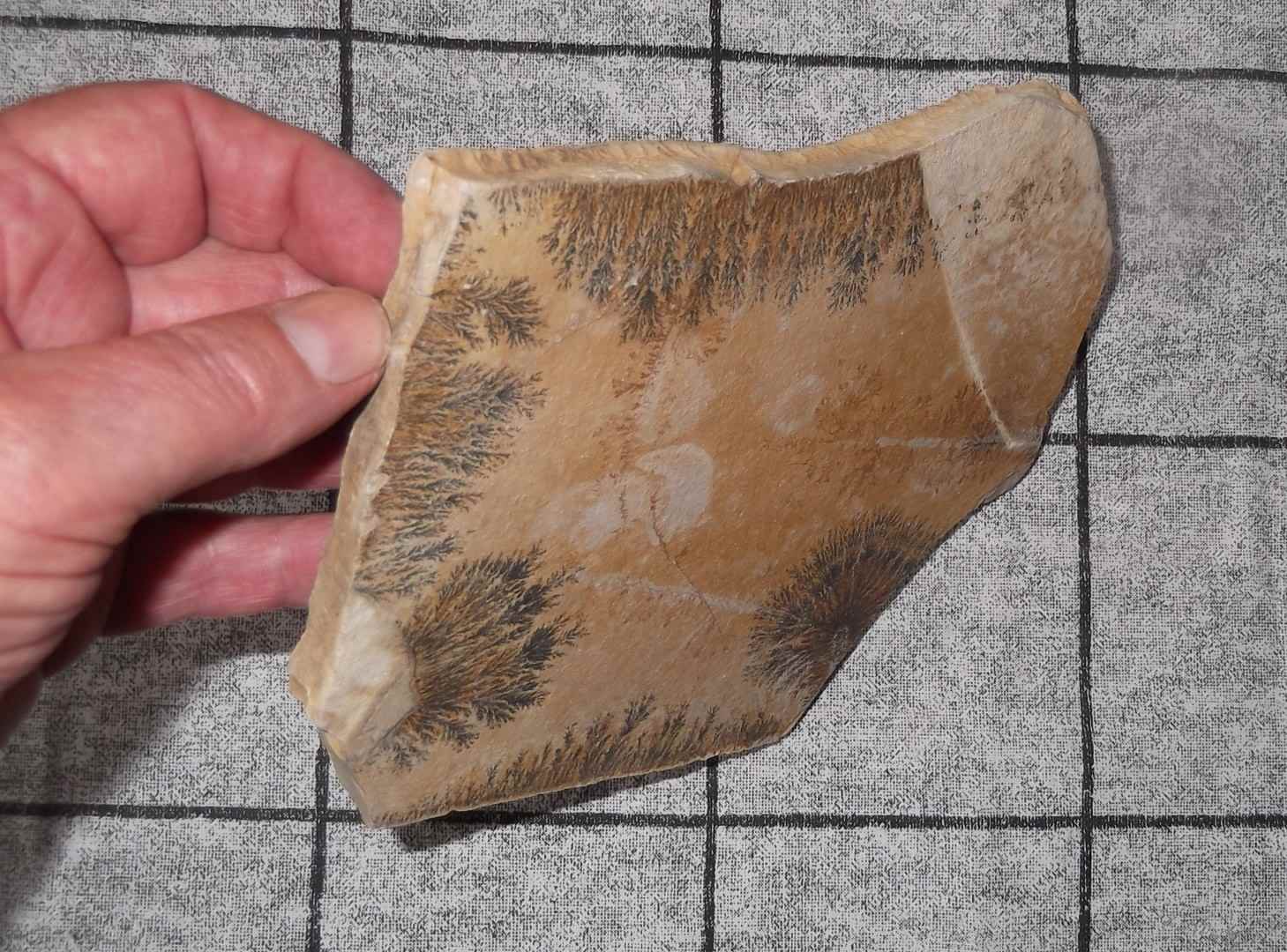 Mangaan Dendriet