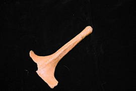 wervel deel {25cm)
