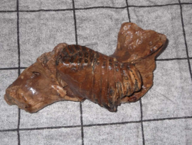 Onderkaak Mammoet kalfje
