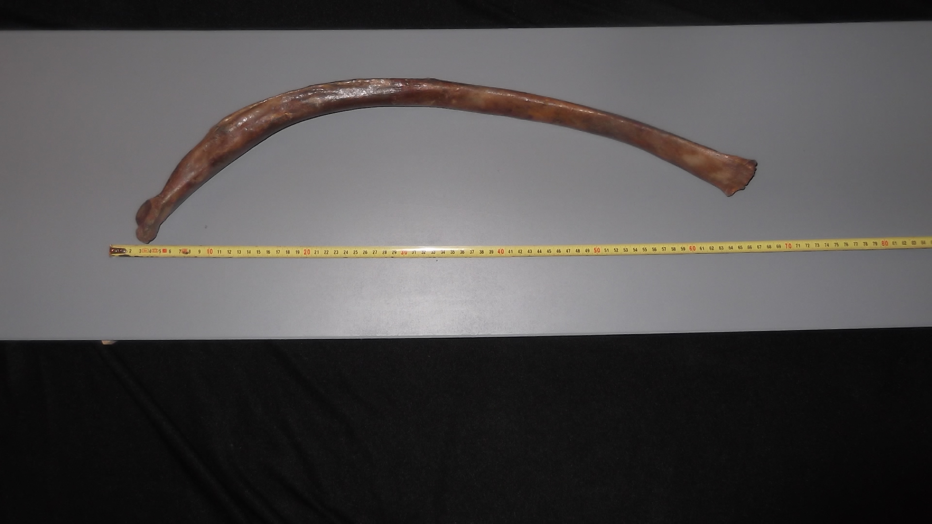 Mammoet zwevende rib