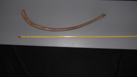 Mammoet zwevende rib