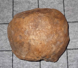 mammoet dijbeen kogel