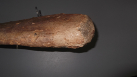 Mammoet eerste Rib