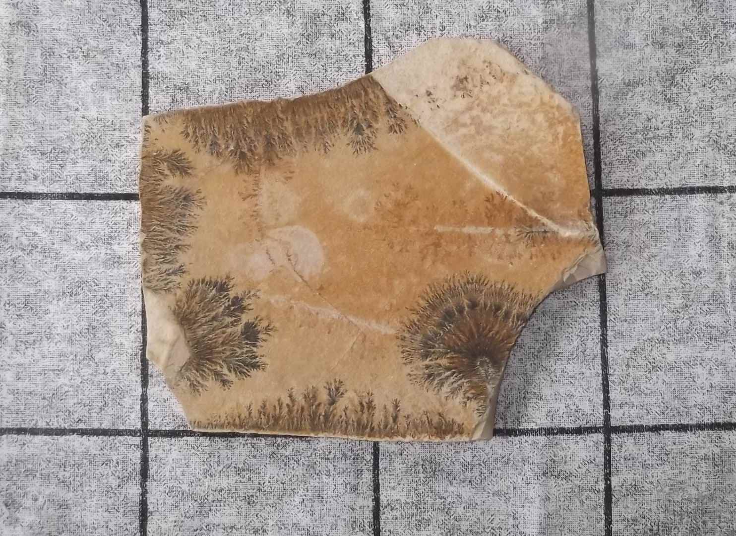 Mangaan Dendriet