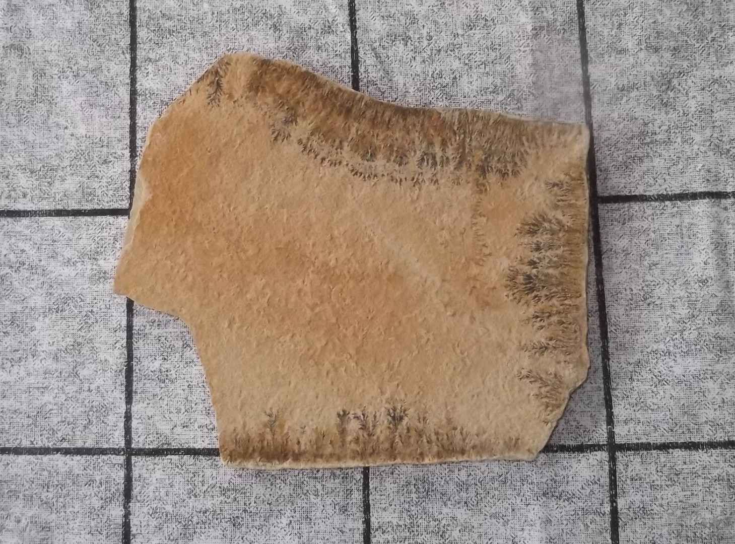 Mangaan Dendriet