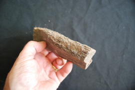 Versteend Hout