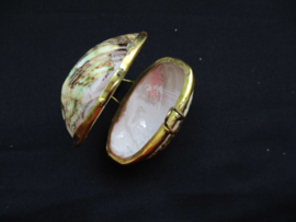 Shell coin purse