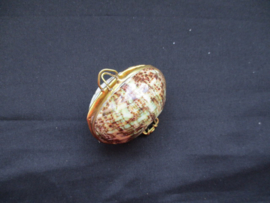 Shell coin purse