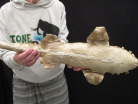 Carpethaai 83 cm