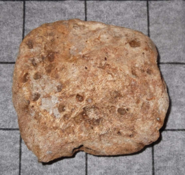 mammoet dijbeen kogel