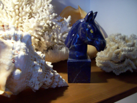 Lapis Lazuli hoofd paard