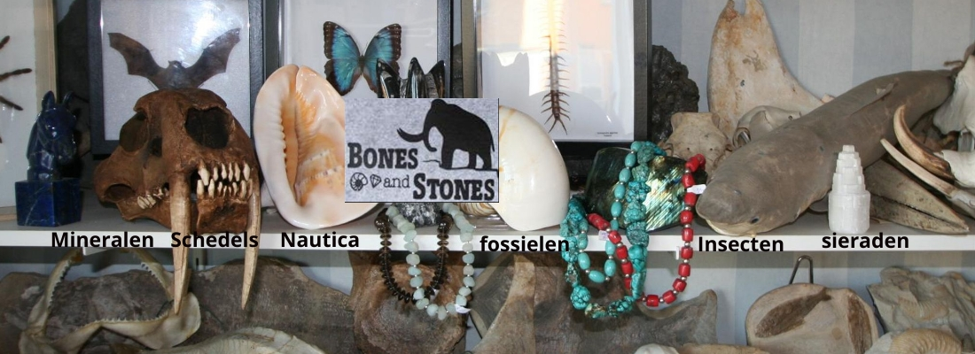 Bonesandstones