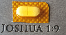 Metronidazol 500mg Desparasitantes para adultos