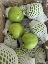 Por una sola guayaba