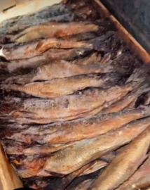 Por una caja de arenque de  [ 8 kilo ]