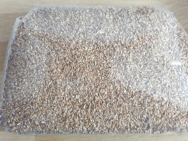 ( 1 kg )  Trigo Dominicano