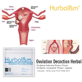 Hurbolism Ovulation Decoction Herbal