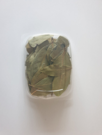 Hojas de Laurel