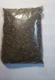 Oregano Dominicano