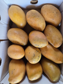 Por una caja de mango entera