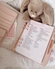 Mommy 2 Be planner (cover & 9 maanden content)