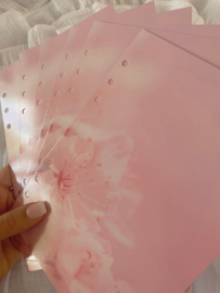 Devider cherryblossom (6 stuks)