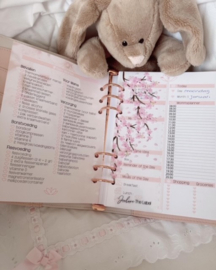 Mommy 2 Be planner complete set