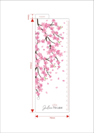 Today ruler cherryblossom