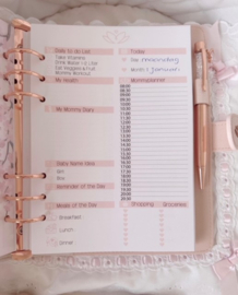 Mommy 2 Be planner complete set